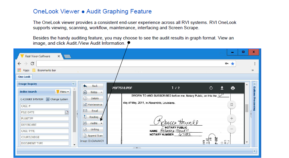 One Look audit trail