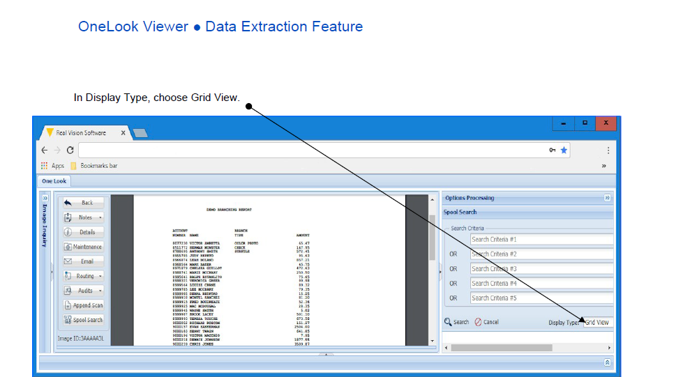 One Look data view 2